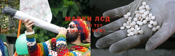 PSILOCYBIN Лабытнанги