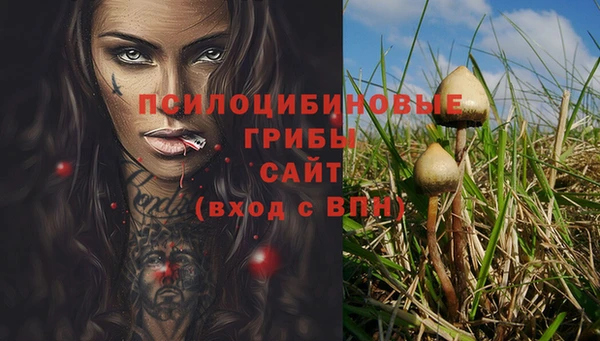 PSILOCYBIN Лабытнанги