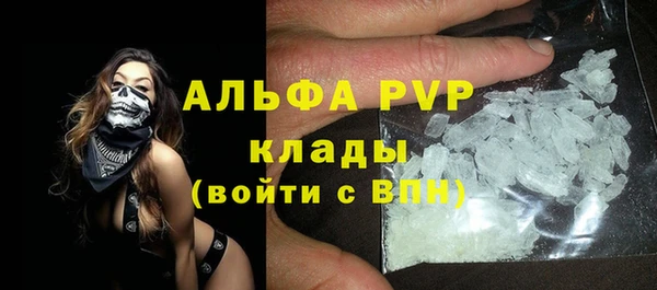 PSILOCYBIN Лабытнанги