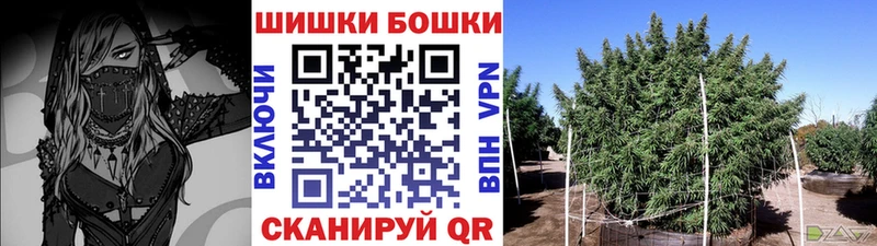 Бошки Шишки план  Купить закладки  Свободный 